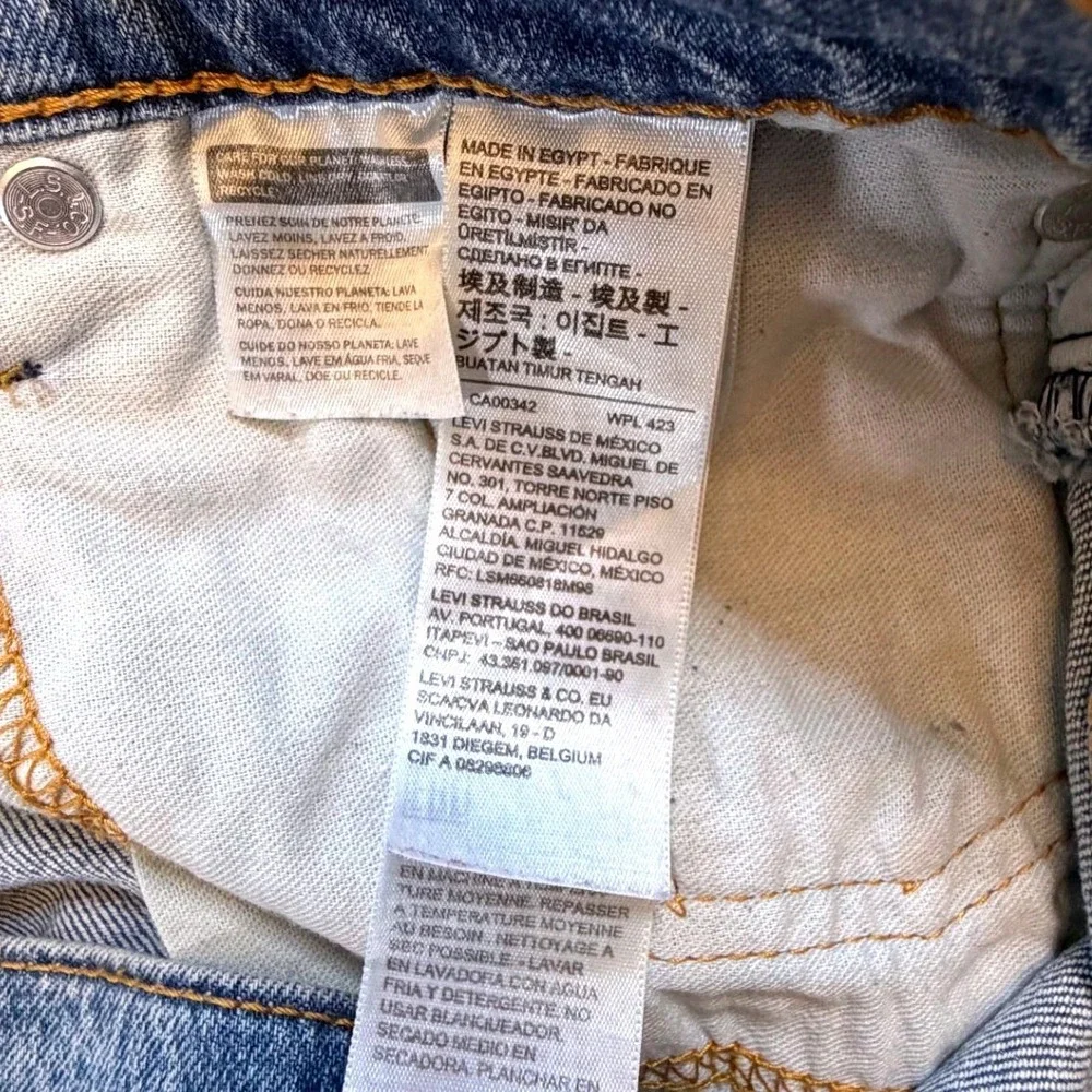 Levis levis 405